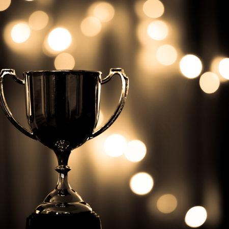 LQ Digital Named 2017 Optimizer of the Year